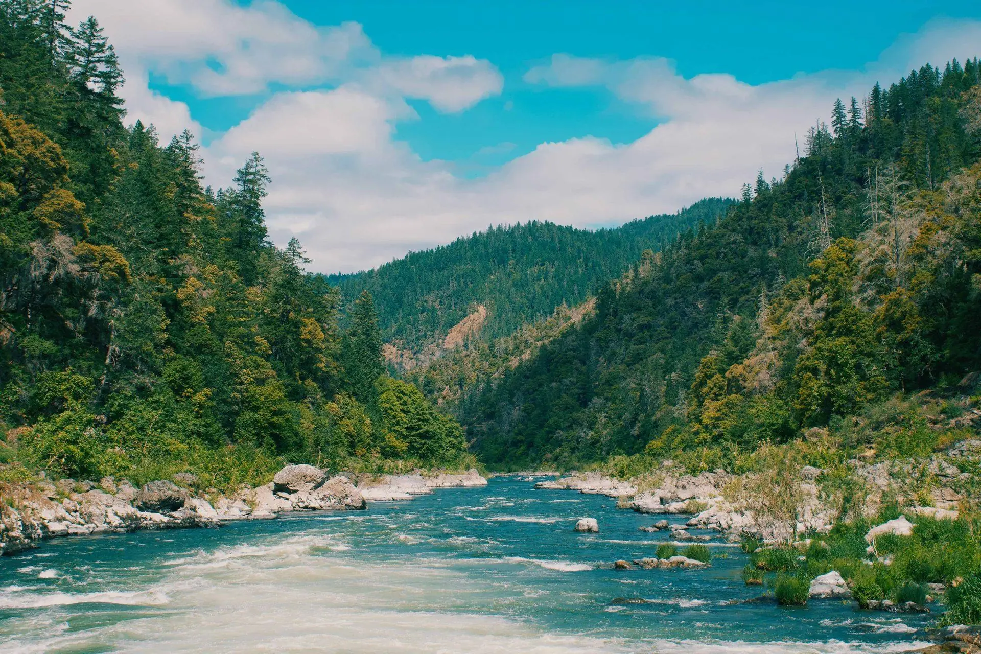 River winding through a green valley