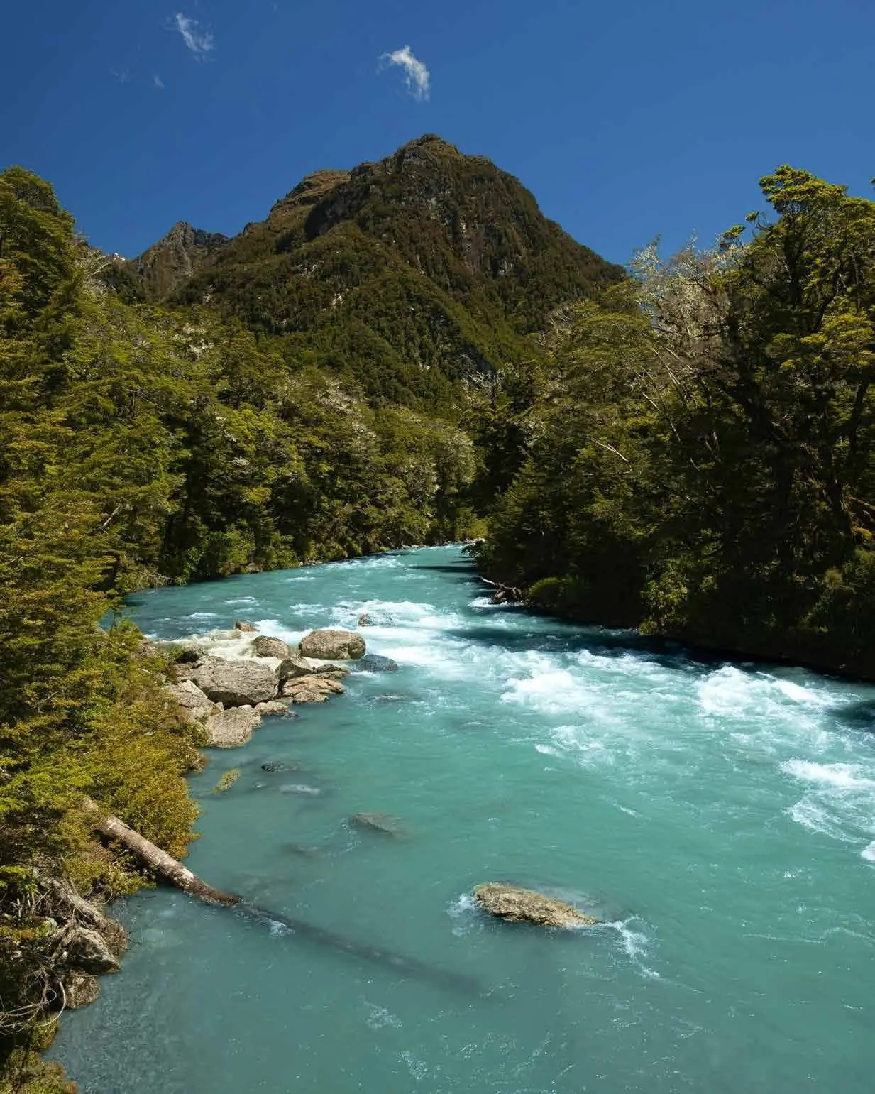 Turquoise river running through a forested valley